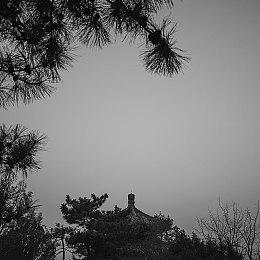 欧美区《电锯甜心 RePOP》反向跳票 9月12日发售